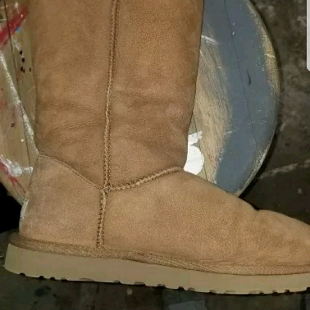 Ugg authentic boots